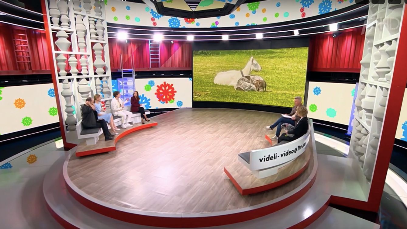 Сергей АРУТЮНОВ в программе "Видели видео" на Первом канале