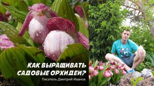 Как выращивать садовые орхидеи?