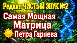 Редкая ЧИСТЫЙ ЗВУК №2 Самая Мощная Матрица ☀️ Петра Гаряева