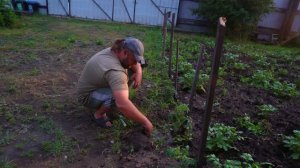 Вечер в деревне ПОДВАЛ ИЛЬИЧА прополка помидор Стройка на участке