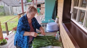 ПОРЕЗАЛА КИНЗУ И ЗЕЛЕНЫЙ ЛУК В ЗАМОРОЗКУ. ЧТО ОБЕДАЕМ.