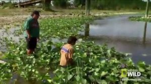 Outcomes Pre-Intermediate - Video 1 - A Child's Garden of Gators