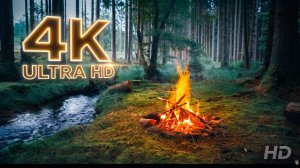 4K 🔥 Настоящий лесной костер📺 Успокаивающие звуки природы