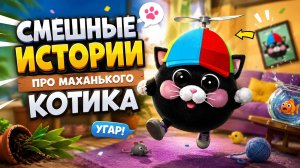 СМЕШНЫЕ ИСТОРИИ ПРО МАЛЕНЬКОГО КОТИКА В ЧИКЕН ГАН