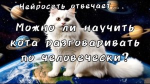Можно ли кота научить разговаривать по человечески? Нейросеть отвечает