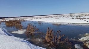 Первая рыбалка 2026г