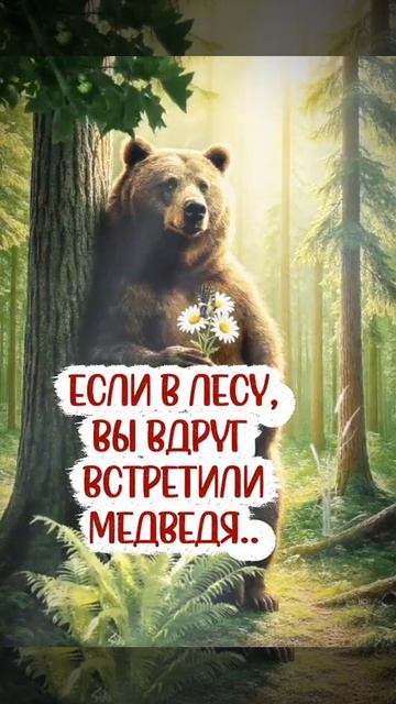 Внимание! Важная информация...