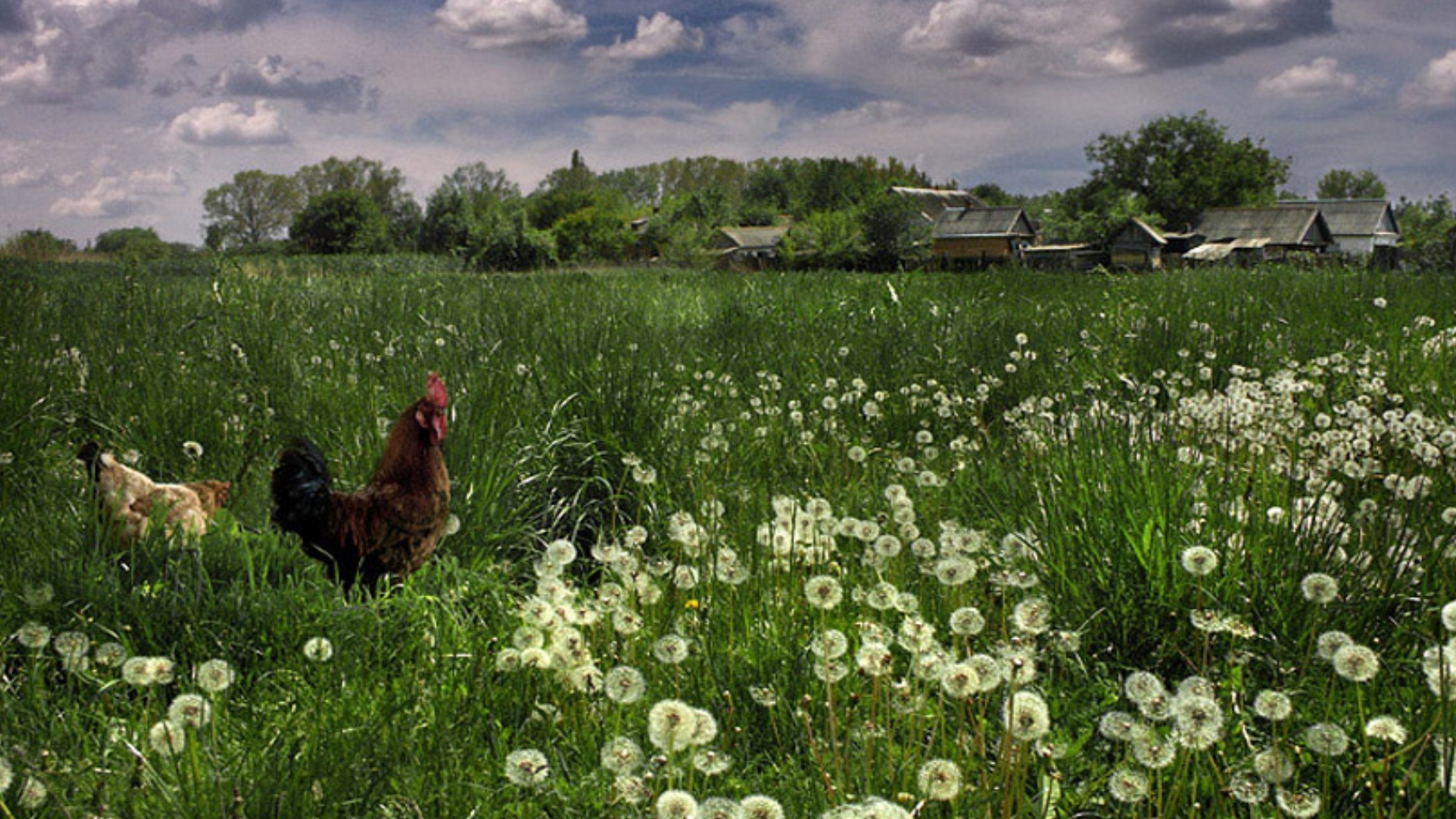 17-06-2026.Живем как многие из вас . смотреть онлайн