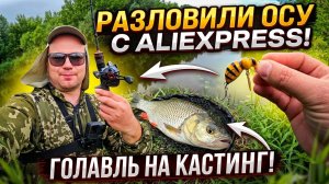 Рыбалка на ГОЛАВЛЯ на спиннинг. РАЗЛОВИЛ кастинг и КИТАЙСКУЮ ПРИМАНКУ с Алиэкспресс!