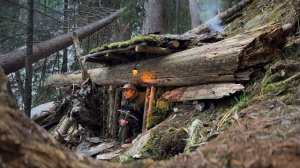 Сооружение полноценного и уютного убежища для выживания / Бушкрафт в одиночку