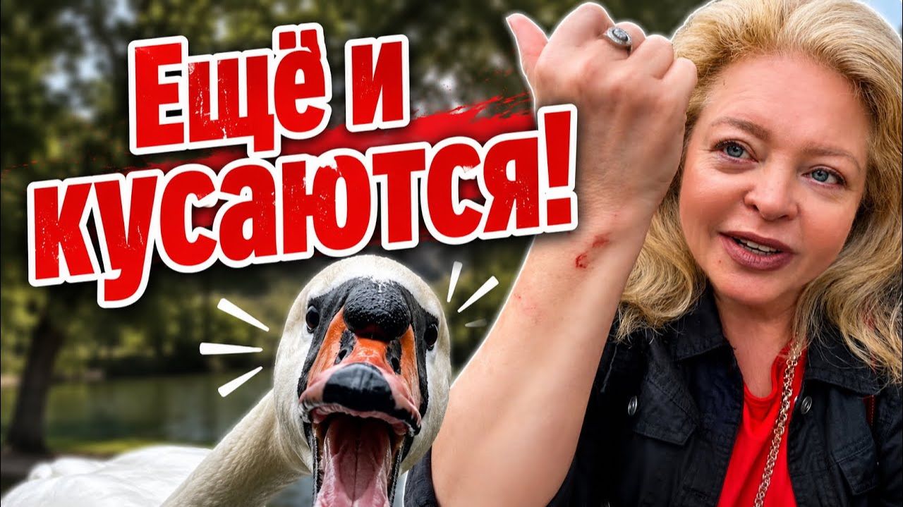 Наталья Фальконе. Карякинский сад удивил