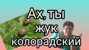 Увлечение мужа😅👍🫰 Не жук, а наказанье😅