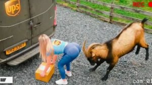 Стыдные Женские Моменты, Попавшие на Камеру