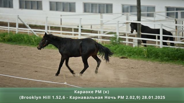 Караоке РМ (к) (Brooklyn Hill 1.52,6 – Карнавальная Ночь РМ 2.02,9) 28.01.2025 смотреть онлайн