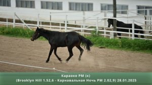 Караоке РМ (к) (Brooklyn Hill 1.52,6 – Карнавальная Ночь РМ 2.02,9) 28.01.2025