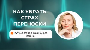 Как убрать страх переноски и путешествовать с кошкой без паники.