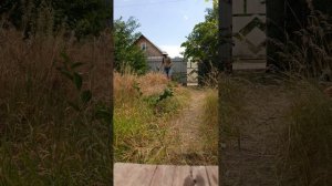 Продолжение уборки