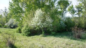 Есть любовь или нет, я не знаю, разбор на гармони №-450 с цифрами