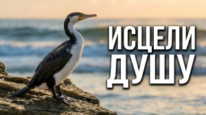 Глубокая медитация для исцеления души. Слушай это, когда устал.