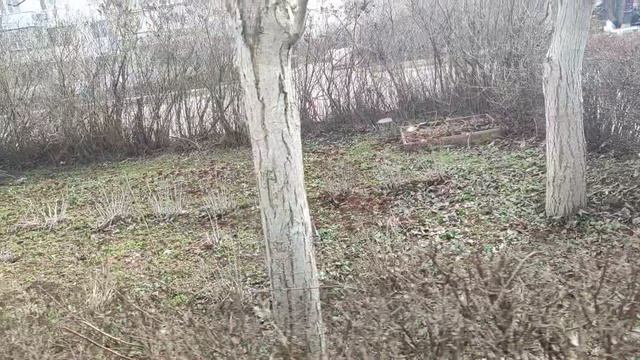 Один из дней города Евпатории | 15 февраля 2022 год | Крым ХАН БАТОН XAH 6ATOH | VID_20220215_141922