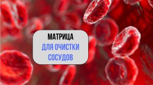 Матрица для очистки сосудов – Прорыв в медицине. Без таблеток и хирургов