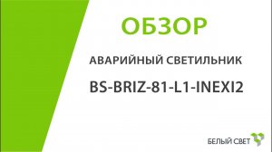 BS-BRIZ-81-L1-INEXI2 аварийный светильник