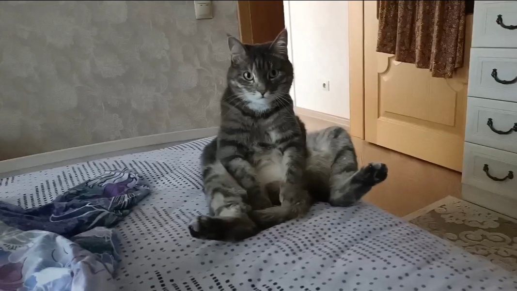 ПРИДУМАЛА НОВЫЙ БИЗНЕС. ДОМАШНИЙ ВЛОГ