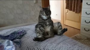 ПРИДУМАЛА НОВЫЙ БИЗНЕС. ДОМАШНИЙ ВЛОГ