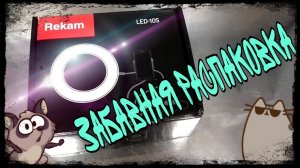 🔥 Rekam LED-10s 🔥Забавная Распаковка кольцевой лампы от Кота и Енота!!