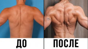 5 Лучших Упражнений Для Твоей Спины | Домашняя тренировка с гантелями