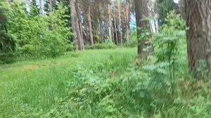 #ах это лето как оно красиво