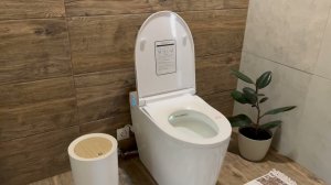 Электронный унитаз-биде с импульсным смывом Brunnen Wal BW-2402 Auto open/close (с выходом в пол)
