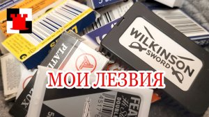 Что я посоветовал бы новичку: лезвия, которые стоит попробовать