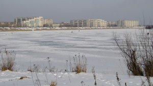 «СБЕЖАВШИЕ ЖИВОТНЫЕ» Городской семинар учителей иностранного по внедрению ФГОС: 2016 год ДЗЕРЖИНСК