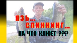 На что клюет язь ?