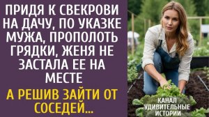 Истории из жизни Придя к свекрови на дачу прополоть грядки, Женя не застала ее на месте…