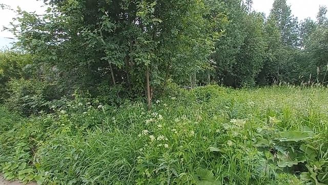 Агалатово 21сот ИЖС