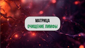 Матрица: Эффективное Очищение Лимфы и Улучшение Здоровья