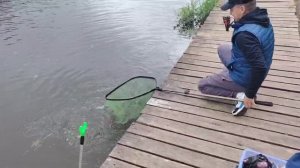Чесночная кука