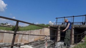 Карасиные приключения: день, полный сюрпризов
