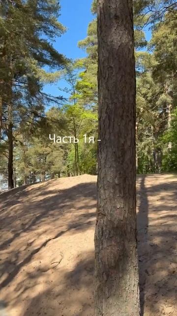 У каждого свой ПМЭФ Часть 1 🌳 природная