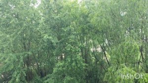 Дождь в Биробиджане. 18.06.2026г