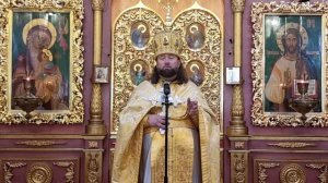Проповедь протоиерея Александра Якушечкина в Неделю 2-ю по Пятидесятнице (14.06.2026)