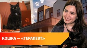 В «Уфимском хосписе» официально работает кошка. Вы можете пожертвовать ей на корм