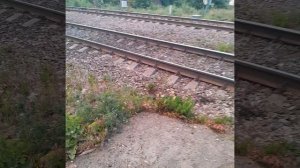 1000015664.mp4