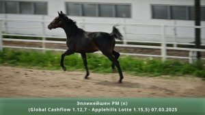 Эпликейшен РМ (к) (Global Cashflow 1.12,7 - Applehills Lotte 1.15,5) 07.03.2025