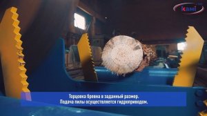Линия раскряжевки бревен на базе торцовки EcoWood LCC-1100. Полный обзор автоматической линии