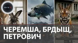 Черемша, Брдыщ, Петрович, Семга | Что все это значит и почему это сейчас везде? | Тренды ИИ и СССР