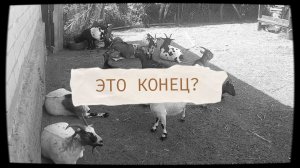 9 лет КОТУ ПОД ХВОСТ 😭 .Самое ТЯЖЕЛОЕ решение в моей ЖИЗНИ