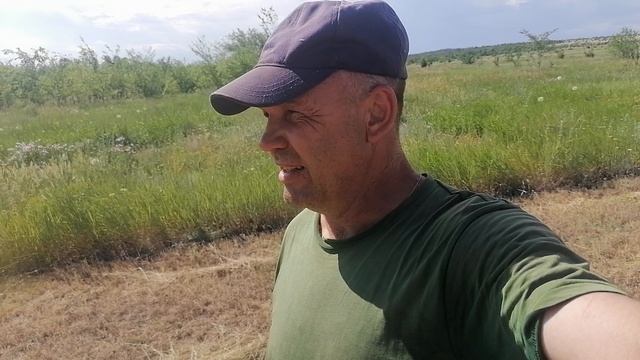 Полезные советы на все случаи жизни